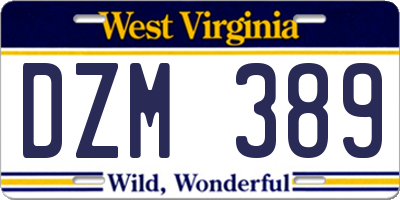 WV license plate DZM389