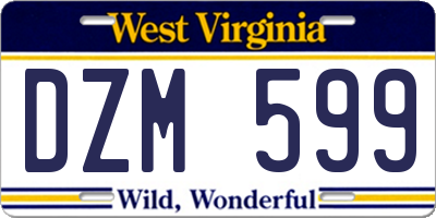 WV license plate DZM599