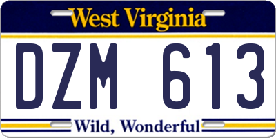 WV license plate DZM613