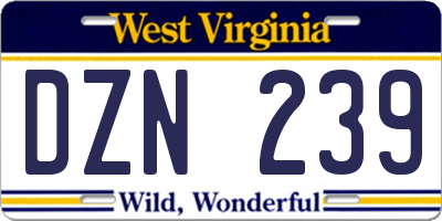 WV license plate DZN239