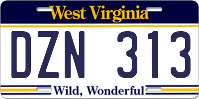 WV license plate DZN313