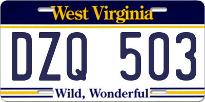 WV license plate DZQ503