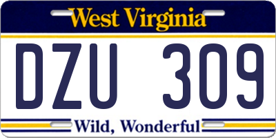 WV license plate DZU309