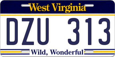 WV license plate DZU313