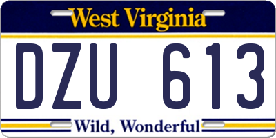 WV license plate DZU613