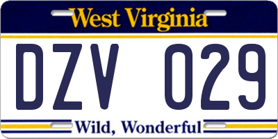 WV license plate DZV029