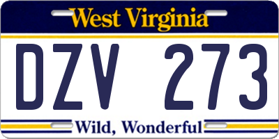 WV license plate DZV273