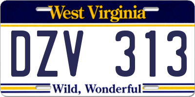 WV license plate DZV313