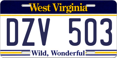 WV license plate DZV503