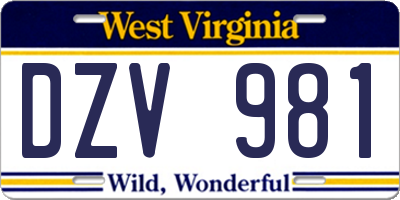 WV license plate DZV981