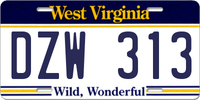 WV license plate DZW313