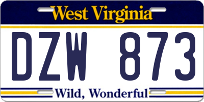 WV license plate DZW873