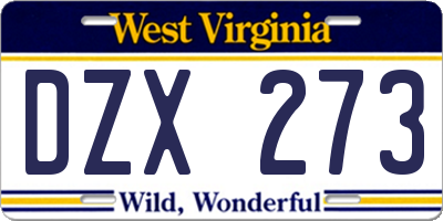 WV license plate DZX273