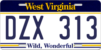 WV license plate DZX313