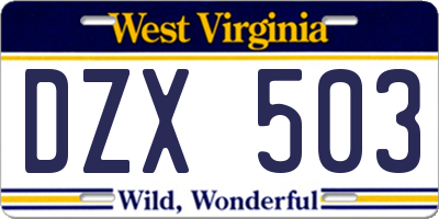 WV license plate DZX503