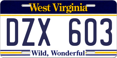 WV license plate DZX603