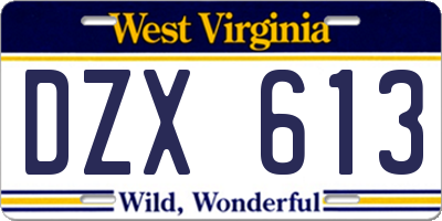 WV license plate DZX613