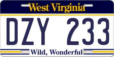 WV license plate DZY233