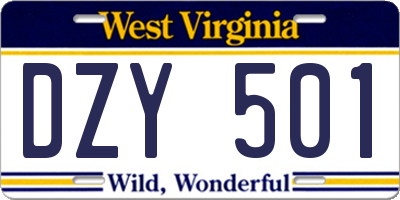 WV license plate DZY501