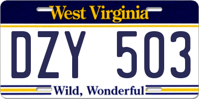 WV license plate DZY503