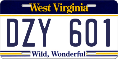 WV license plate DZY601