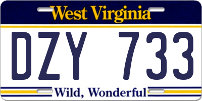 WV license plate DZY733
