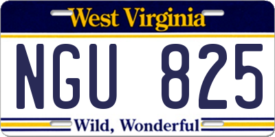 WV license plate NGU825