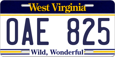 WV license plate OAE825