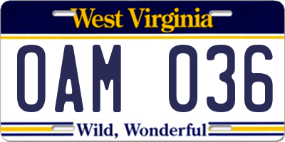 WV license plate OAM036