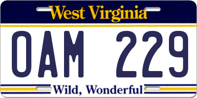 WV license plate OAM229