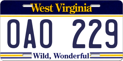 WV license plate OAO229