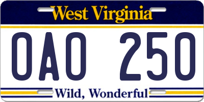 WV license plate OAO250