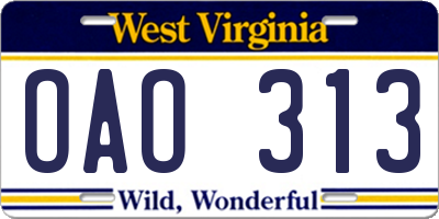 WV license plate OAO313