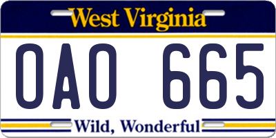 WV license plate OAO665