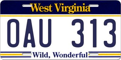 WV license plate OAU313