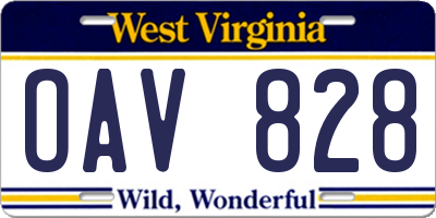 WV license plate OAV828