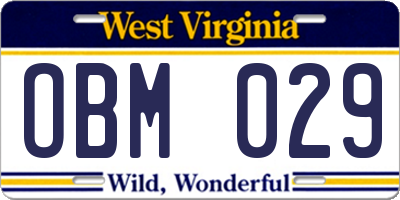 WV license plate OBM029