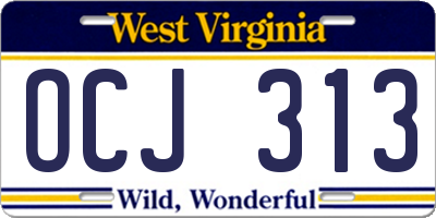 WV license plate OCJ313