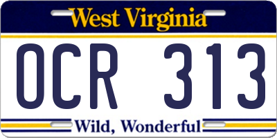 WV license plate OCR313