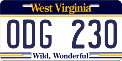 WV license plate ODG230