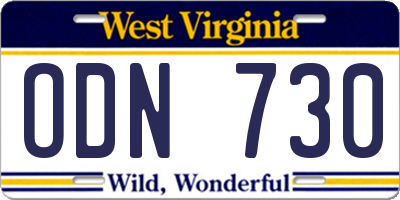WV license plate ODN730