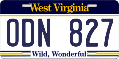 WV license plate ODN827