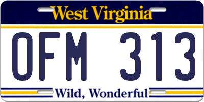 WV license plate OFM313