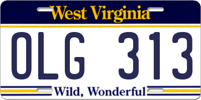 WV license plate OLG313