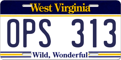 WV license plate OPS313
