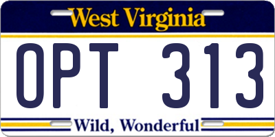 WV license plate OPT313