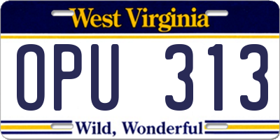 WV license plate OPU313