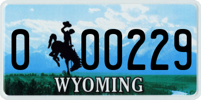 WY license plate 000229