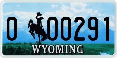 WY license plate 000291