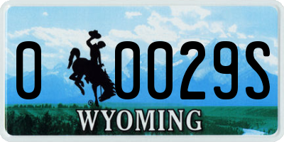 WY license plate 00029S